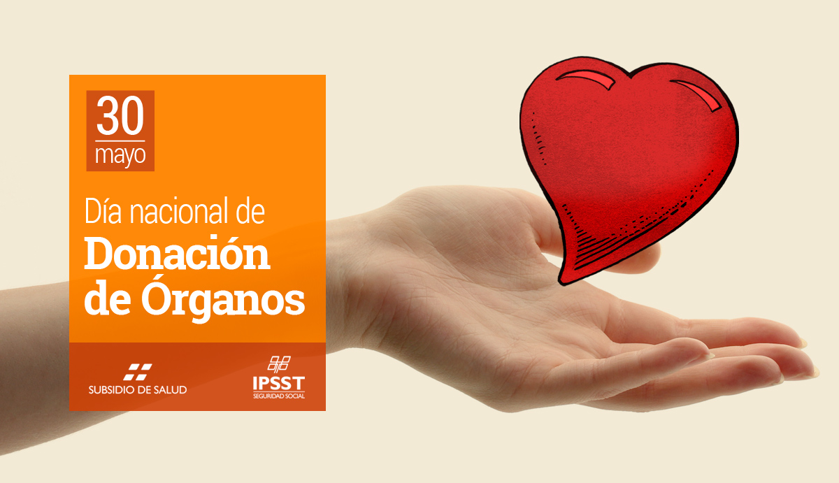 Día Nacional de la Donación de Órganos – Noticias | Actualidad