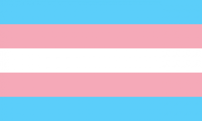 Día de la Promoción de los Derechos de las Personas Trans