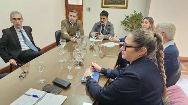 El IPSST recibió al Colegio Médico para seguir trabajando en la implementación del Token de Seguridad